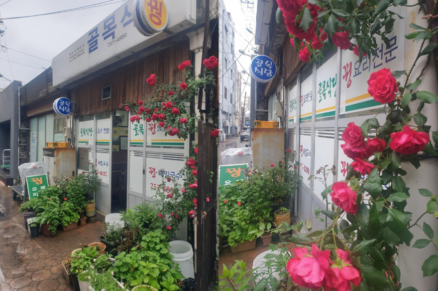 2222.png