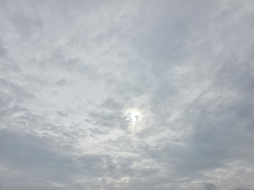 6월16일 제주날씨