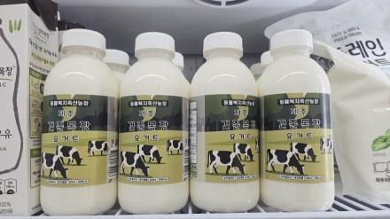 예능 '콩콩팜팜'으로 주목받은 제주 건준목장…신선한 원유로 만든 요거트 인기